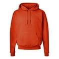 thumbnail image 1 of Hanes Ecosmart Hoodie Sweatshirt for Men Size up to 5XL, 1 of 5