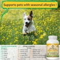 thumbnail image 4 of Makondo Pets Immune Support Supplement & Vitamins Beef Liver Flavor Tablets for Dogs, 60 Tablets, 4 of 9