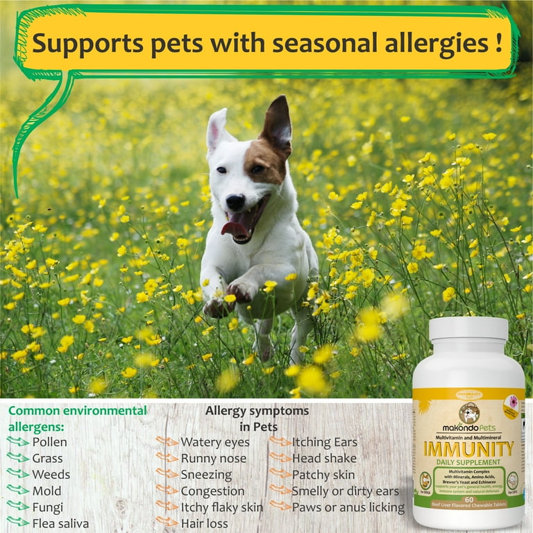 Dog immune system booster sale