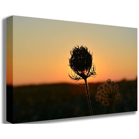 Baker "Sunset Flower" Canvas Print