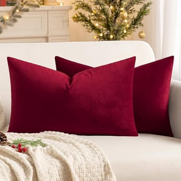Eryueer Velvet Soft Decorative Square Throw Pillow Case Cushion Covers Pillowcases for Livingroom Sofa Bedroom with Invisible Zipper 16"x24" 40x60 cm 2 Pieces Wine Red