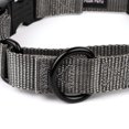 thumbnail image 6 of Country Brook Petz® Charcoal Heavyduty Nylon Martingale with Premium Buckle, Medium, 6 of 6