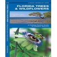 thumbnail image 1 of Guide de Poche Pliant - Arbres de Floride & Fleurs Sauvages, 1 of 3
