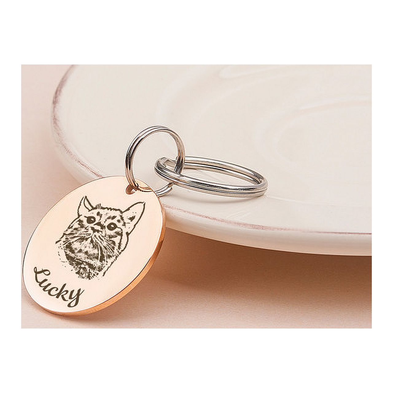 Anavia Stainless Steel Double Sided Round Name and Pet Portrait Engraved Dog & Cat ID Tag, Multi-color, L