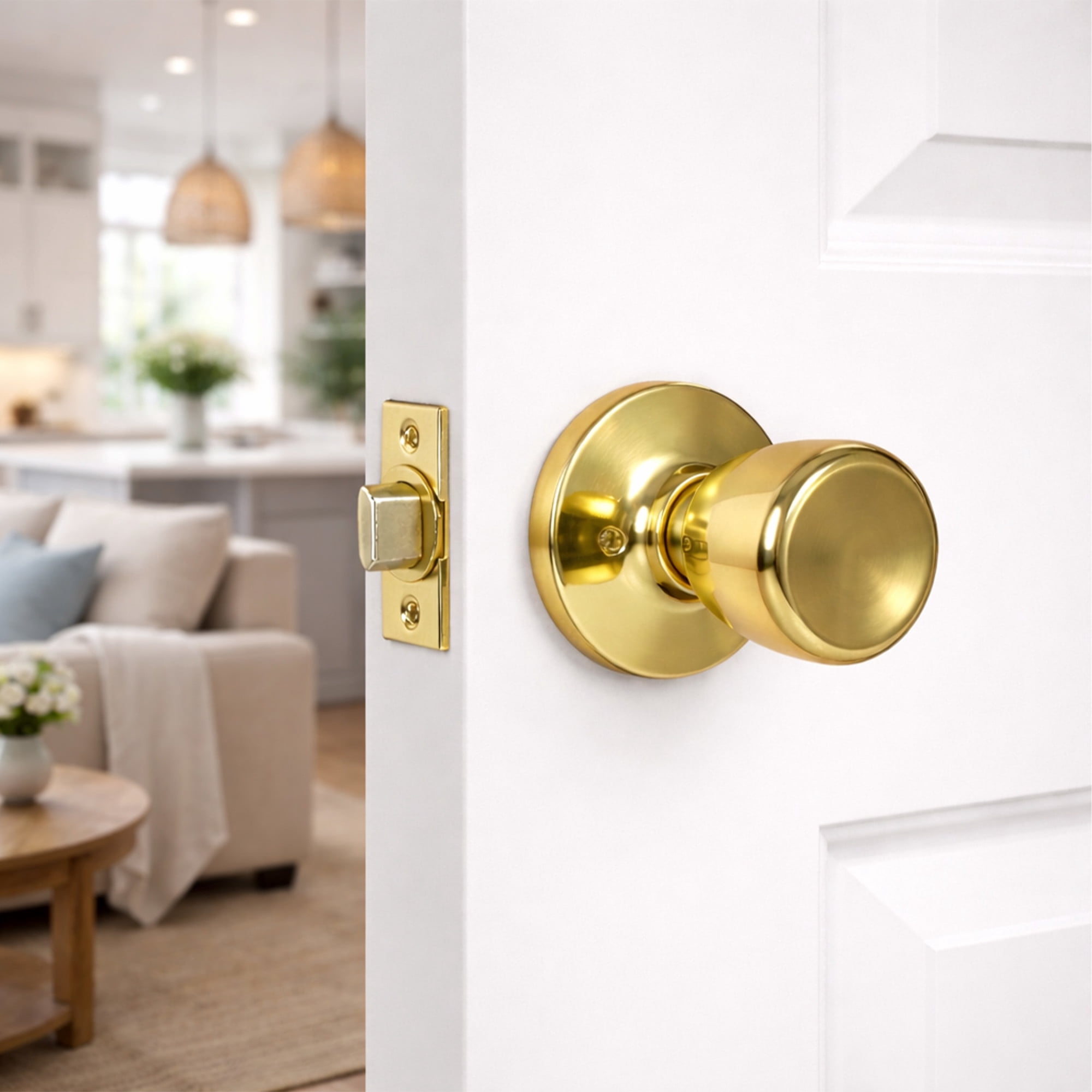 Polished Brass Passage Door Knob, Hall and Closet, 6-Way Universal Fit