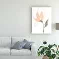 thumbnail image 3 of Trademark Fine Art 'Blush Petals I' Canvas Art by Jennifer Goldberger, 3 of 4