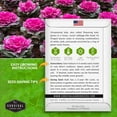 thumbnail image 2 of 5 packs Ornamental Kale Seed - Non-GMO Heirloom Biennial Full Sun Vegetable, 2 of 6