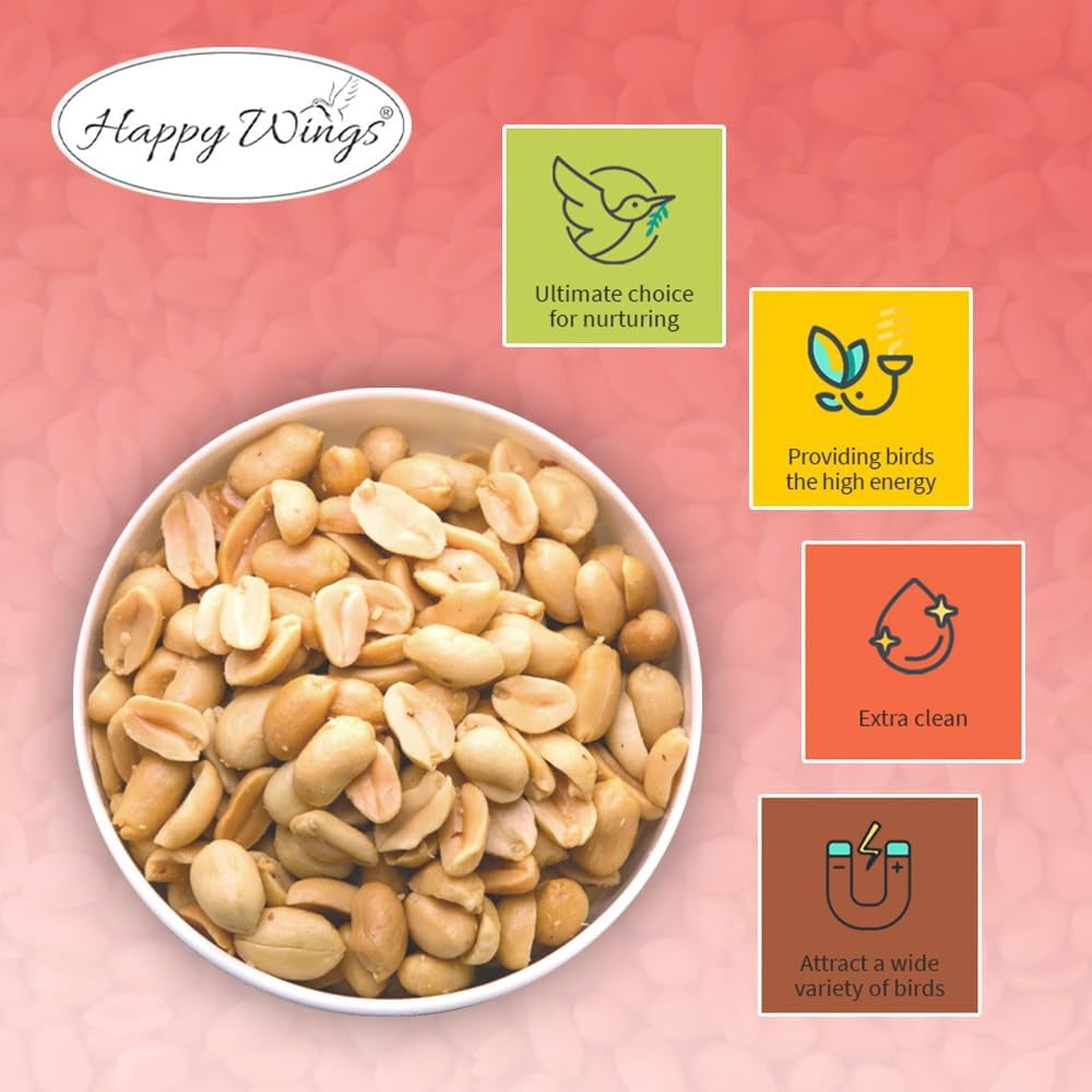 Happy Wings Shelled Peanuts Seeds Wild Bird Food - 4 Pounds I No Grow Seed I Bird seed for Wild Birds - 2 Pack