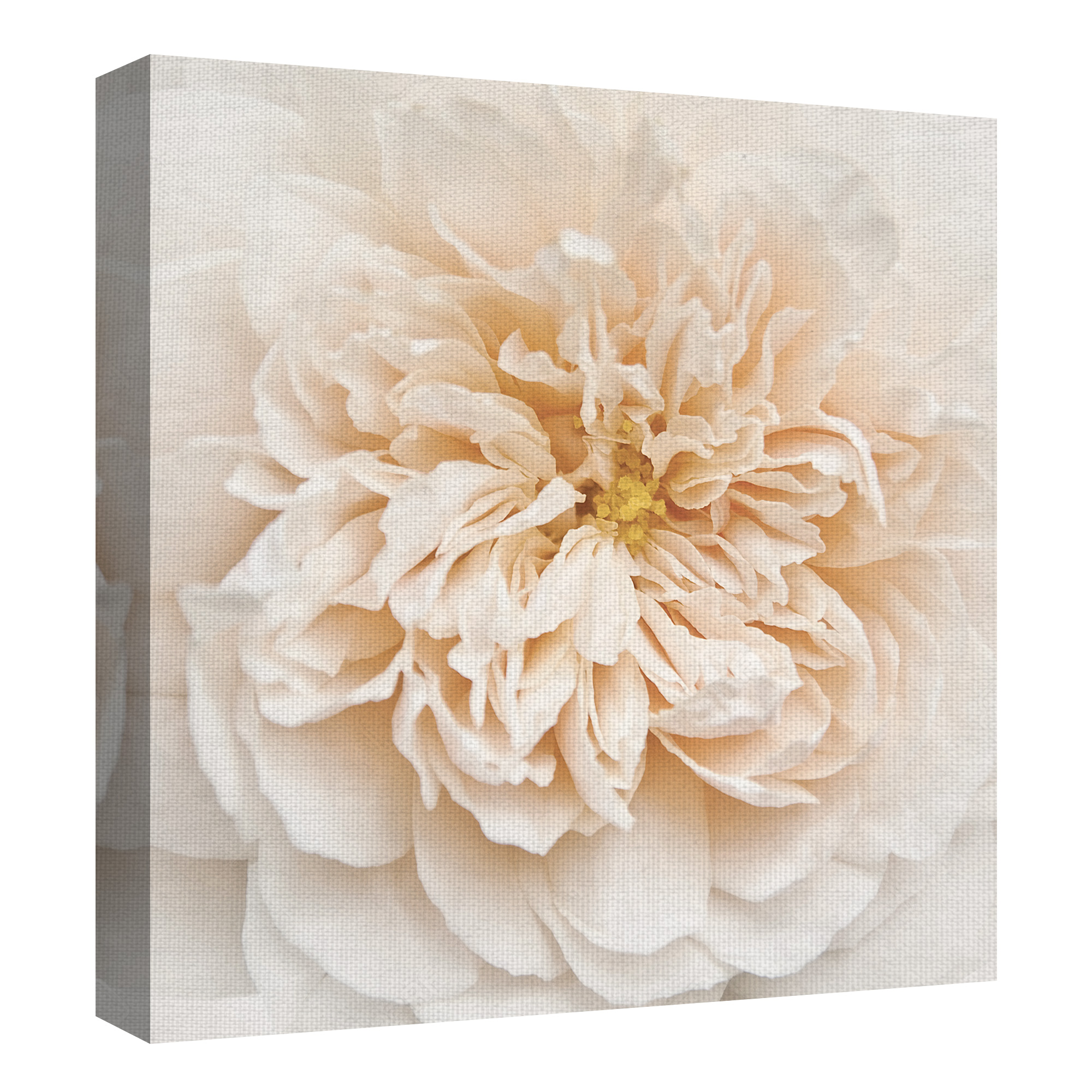 Masterpiece Art Gallery Cupcake Rose by Rebecca Swanson Canvas Art Print 30" x 30"