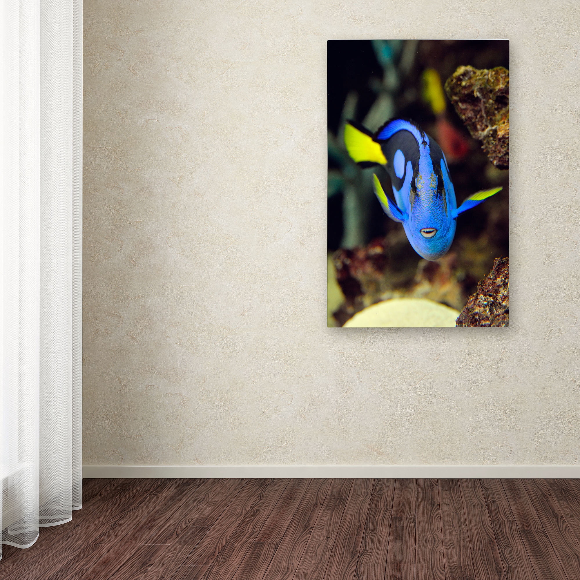 Trademark Fine Art "Parrot Fish" Canvas Art by Kurt Shaffer