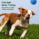 thumbnail image 2 of Pelota de juguete para perros con sonido (2 piezas), masticable, indestructible, con fuente de agua flotante, de goma dura, 5,6 cm, 2 of 5
