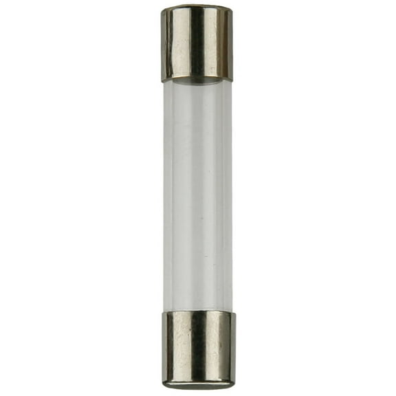 AGC Fuses 1 AMP - Package of 25