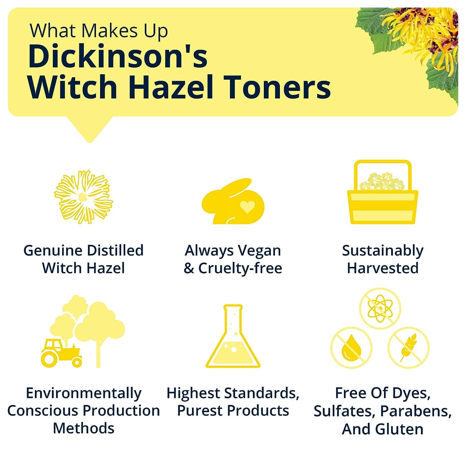 Dickinson's Hydrating Witch Hazel Toner with Rosewater, Alcohol Free, 16 fl oz