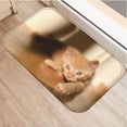 thumbnail image 4 of 1 Pcs 40*60cm Cute Cat Dog Pattern Floor Mat Anti-Slip Carpet Doormat Indoor Kitchen Bathroom Living Room Door Mat Rug, 4 of 6