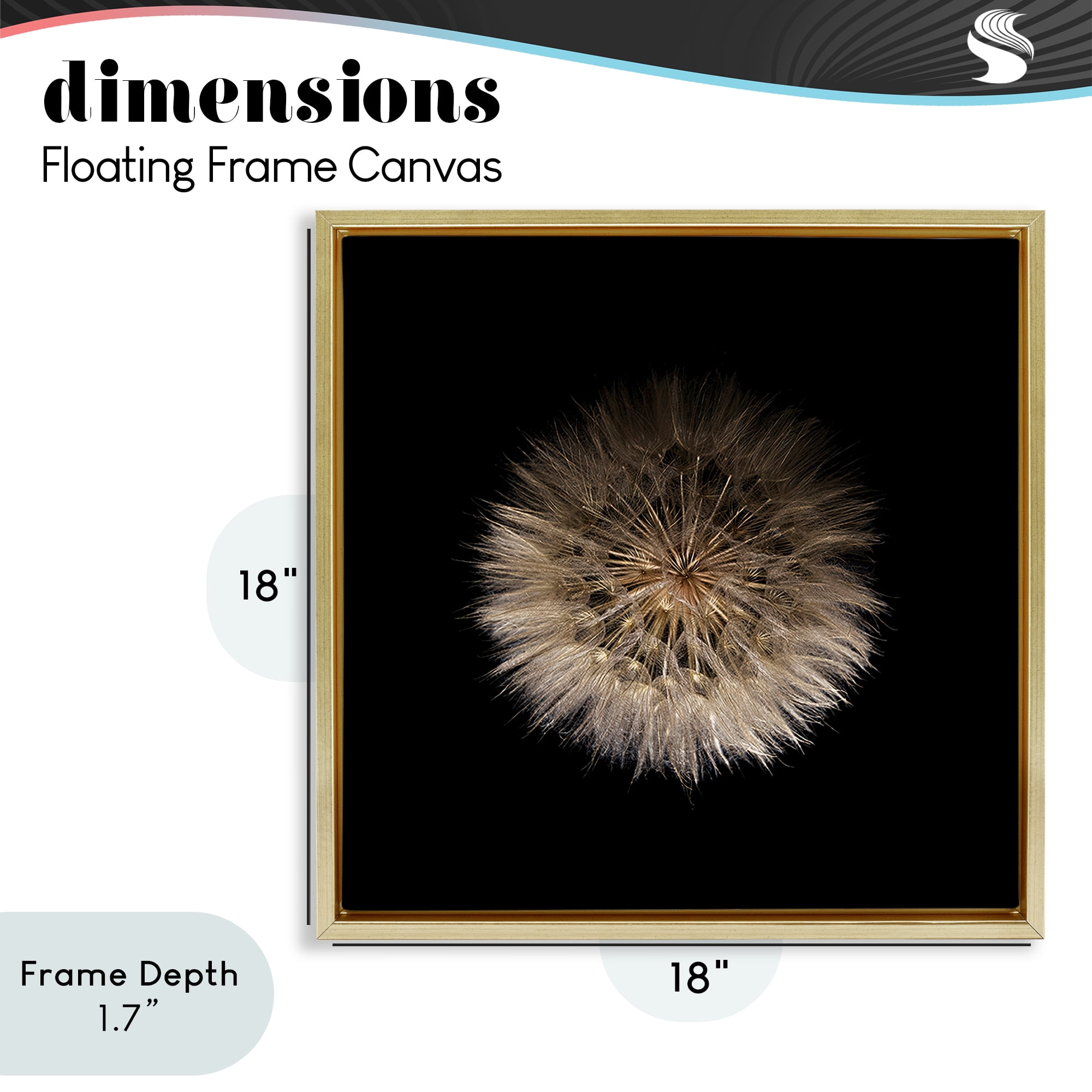 Stupell Industries Wispy Dandelion on Black Gold Framed Floater Canvas Wall Art, design by Beth Adoette