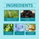 thumbnail image 4 of Hoegoa Rosemary Shampoo Nourishes, Moisturizes, Brightens, Softens, Cleanses And Moisturizes Scalp Shampoo, 4 of 5
