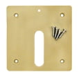 thumbnail image 2 of Jandy Zodiac MJ6330 Mini Jet Cover Plate/Screws- Beige, 2 of 3