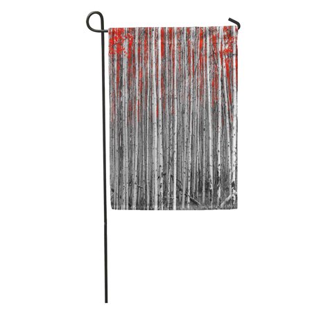 KDAGR Tree Red Leaves in Black and White Forest Landscape Aspen Garden Flag Decorative Flag House Banner 28x40 inch