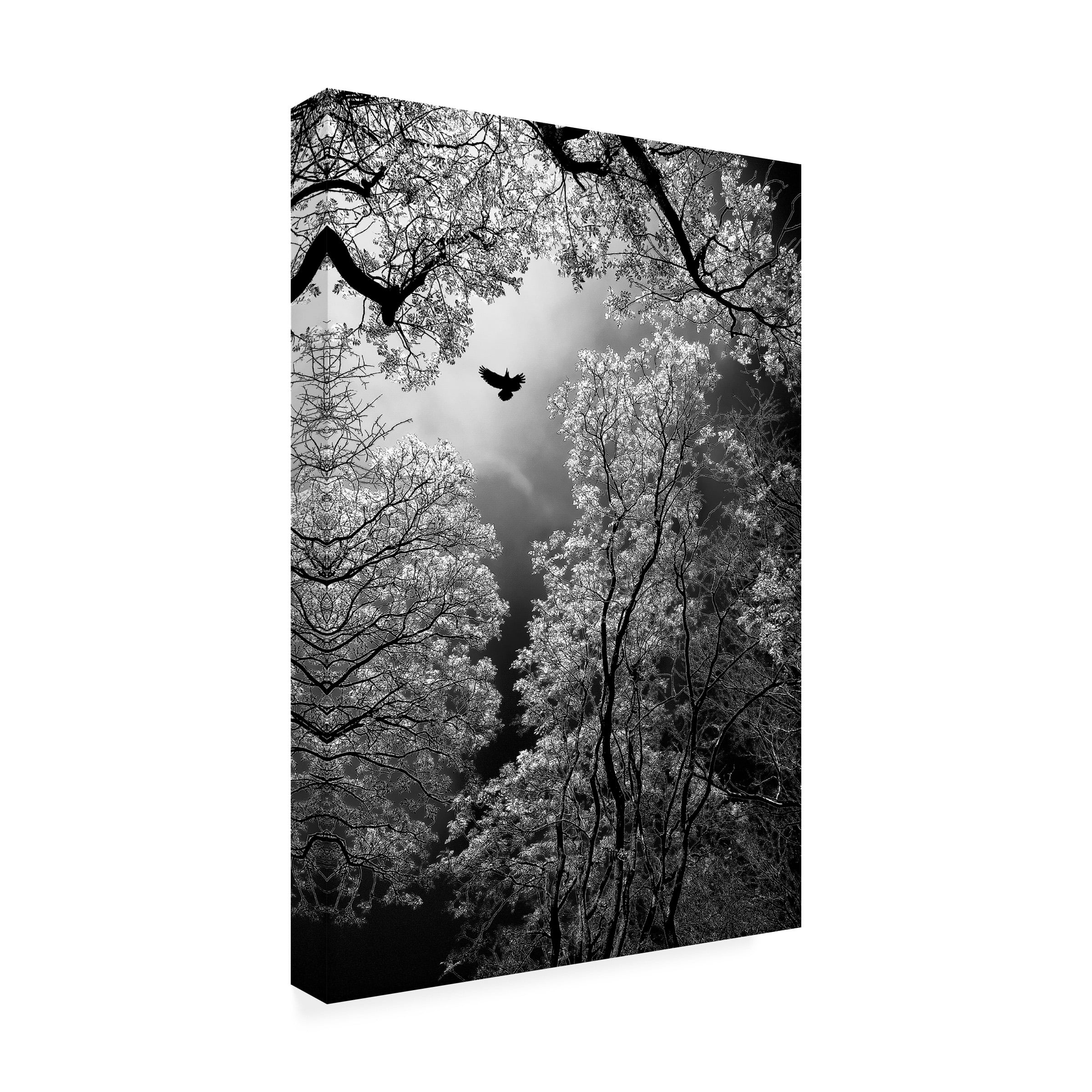 Goran Stamenkovic 'Flight' Canvas Art