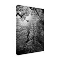 thumbnail image 4 of Goran Stamenkovic 'Flight' Canvas Art, 4 of 4