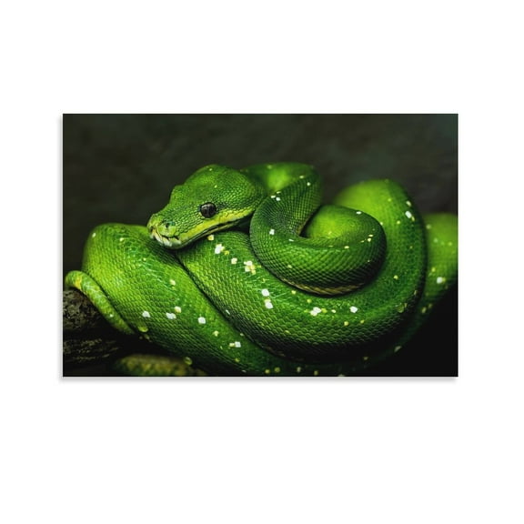 Green Snake Cute Animals Home Decor Poster Wall Art Hanging Picture Print Bedroom Decorative Painting Posters Room Aesthetic 24x36inch(60x90cm)