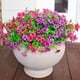 thumbnail image 1 of Flores Artificiales, Flores de Imitación Margarita con Hojas Verdes, Adecuadas para La Decoración del Hogar, Jardín Interior y Exterior (Rosa Morado), 1 of 4