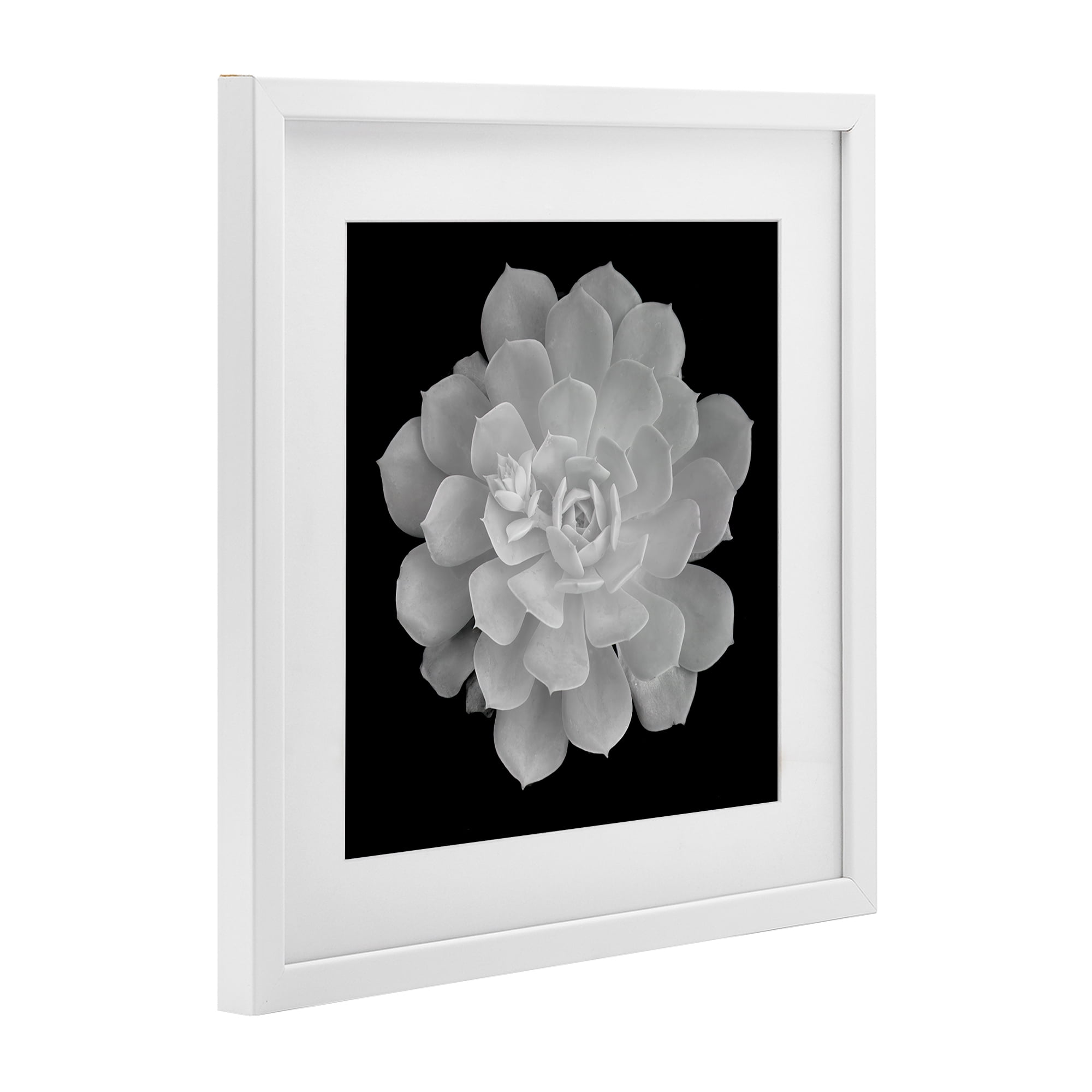Pure White Succulent Contrast White Framed Print Under Glass, design by Phillip Flowers