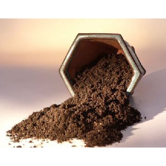 Bonsai Conifer Soil Mix Outdoor & Juniper Trees 2 lbs.