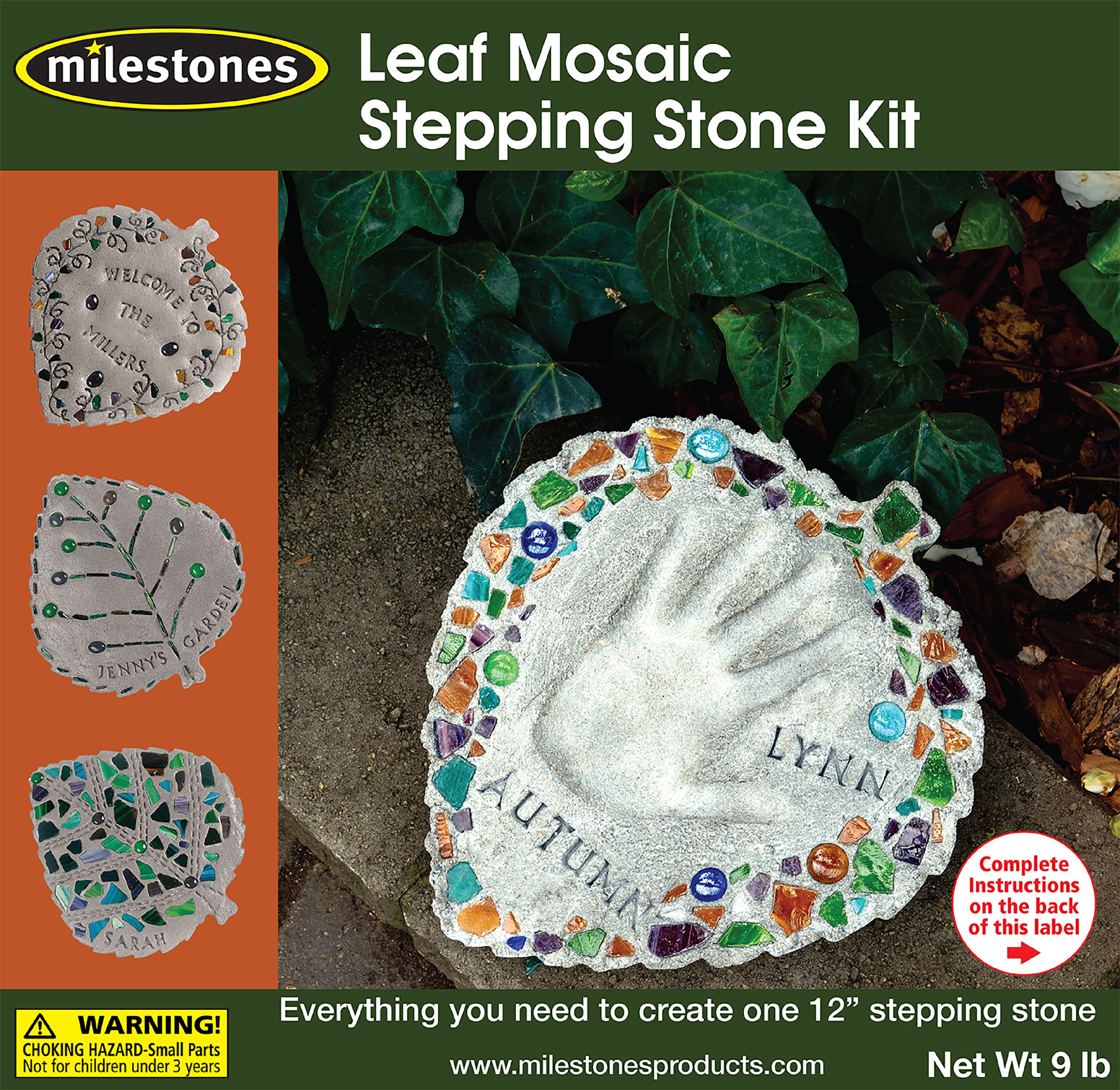 Mosaic Stepping Stone Kit-Leaf - image 2 of 4
