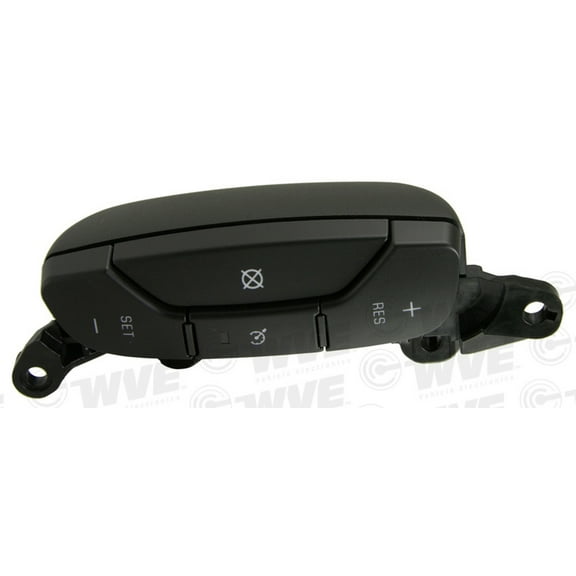 Cruise Control Switch