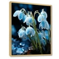 thumbnail image 2 of Designart "Snowdrop Winter Photography" Snowdrops Floater Framed Wall Art Prints, 2 of 5