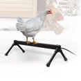 thumbnail image 2 of 5 Gallon Chicken Waterer For Winter, Heated Chicken Qatar 2 of 13