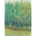 thumbnail image 2 of OToole, Tim 12x14 Black Ornate Wood Framed with Double Matting Museum Art Print Titled - Woodland Edge I, 2 of 4