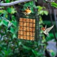 thumbnail image 6 of kkbbma under $5 Suet Bird Feeder, Suet Bird Feeder Cage for Outside Hanging,Metal Bird Feeder for Suet Cakes Mealworm,Wild Bird Feeding Station for Backyard Garden, 6 of 6