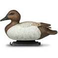 thumbnail image 5 of DOA Canvasback Duck Decoy Foam Filled 6 Pack, 5 of 6