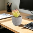 thumbnail image 5 of MMJ Artificial Potted Plants Faux Plants Small Plastic White Planter Tabletop Desk Home Office Decor 2.76x2.68x2.68in, 5 of 6