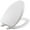 White Tones, variant on Bemis 19170PLE4 000 FCE4 Alesio Elongated Enameled Wood Toilet Seat, White