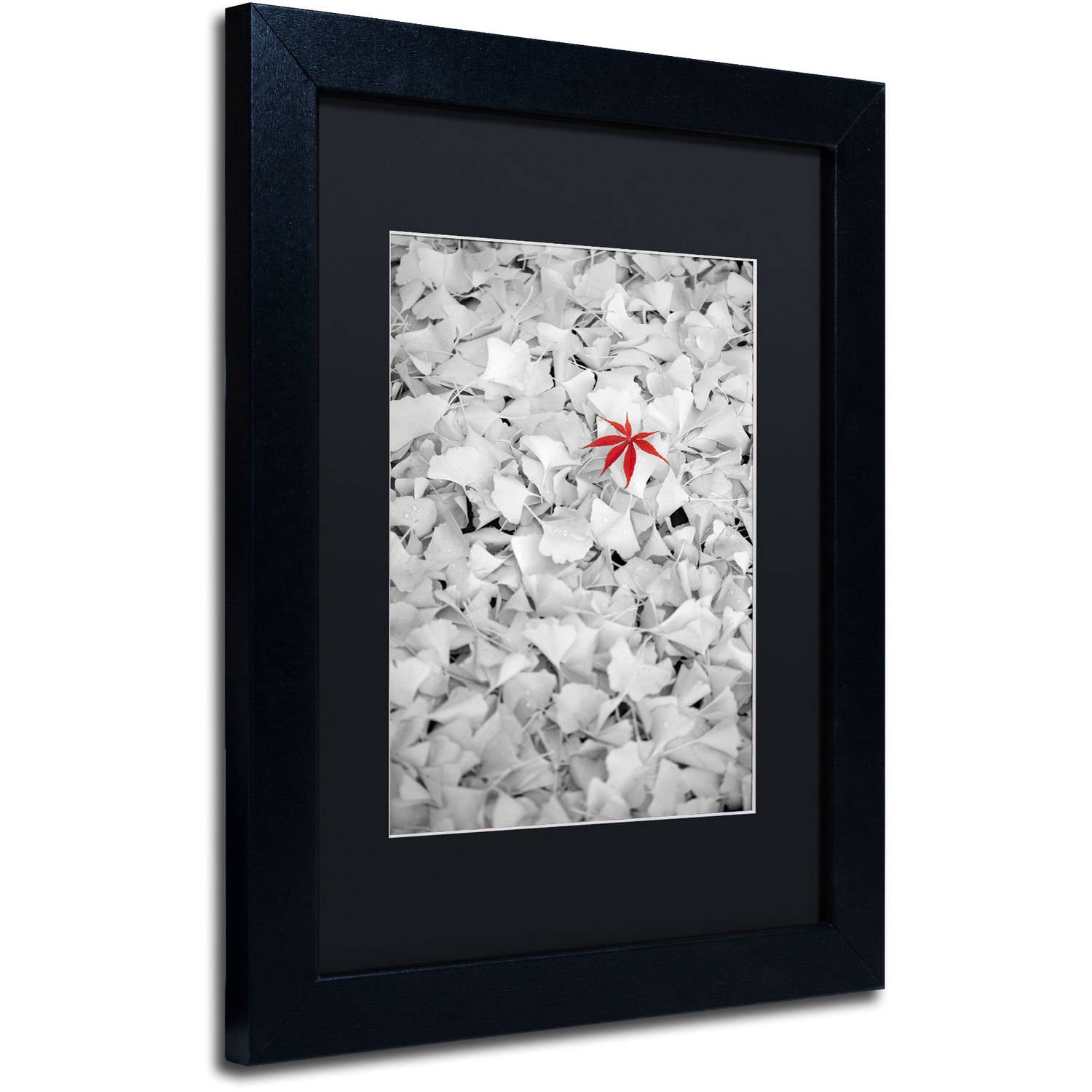 Trademark Fine Art "Rebel Leaf" Canvas Art by Philippe Sainte-Laudy Black Matte, Black Frame