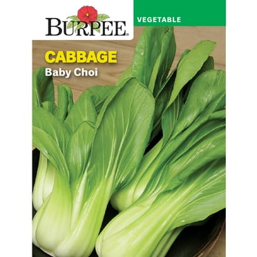 Burpee Baby Choi Cabbage Seeds - Non-GMO, Vegetable Gardening Seeds, 775mg, 1-Pack