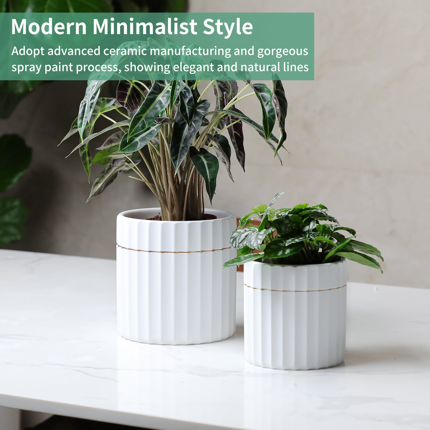 Mozing 2 Pack Ceramic Plant Pots Indoor - Set 4.8 + 6 inch Planter Pot with  Drainage Hole (Black) 