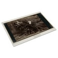 thumbnail image 3 of Print: Oscar Wilde, 1882, 3 of 4