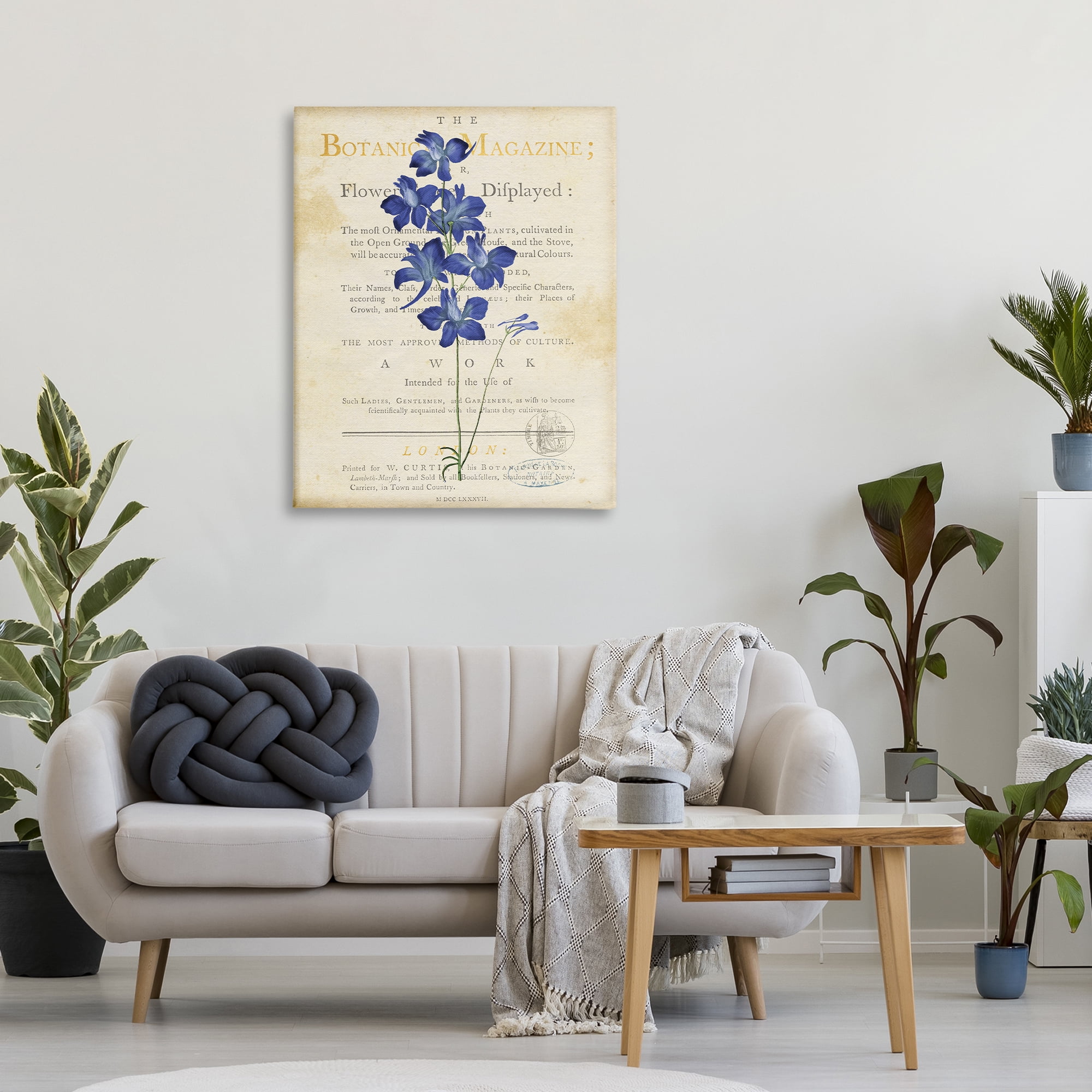 Stupell Industries Natural Botanic Garden Flower Canvas Wall Art, design by Susan Arnot
