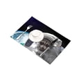 thumbnail image 3 of MKHERT Funny Raccoon Astronaut in Space Placemats Table Mats for Dining Room Kitchen Table Decoration 12x18 inch,Set of 4, 3 of 4