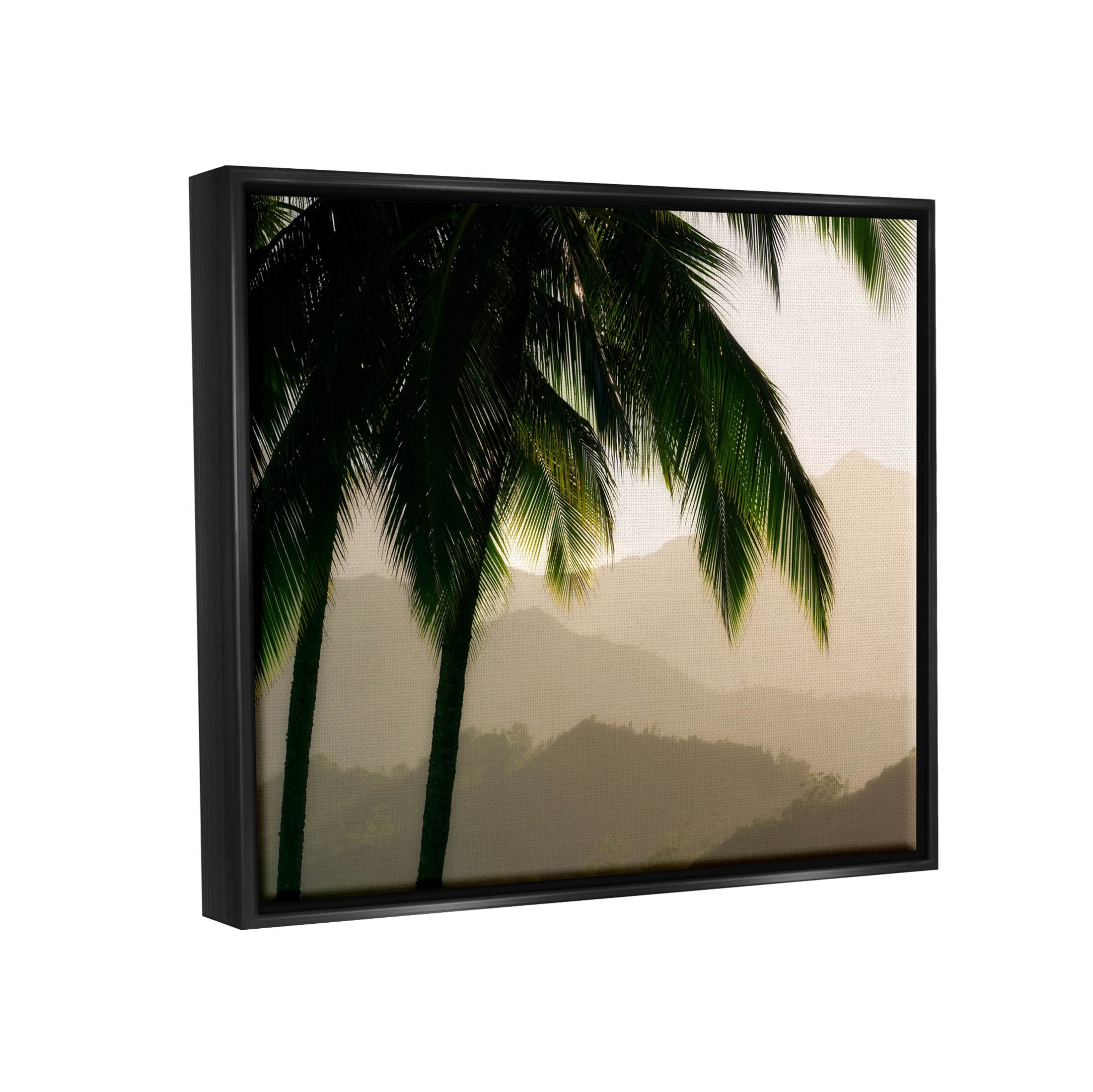 Stupell Industries Palm Trees At Sunrise Mountain Range Photograph Jet Black Floating Framed Canvas Print Wall Art, Design by Dennis Frates