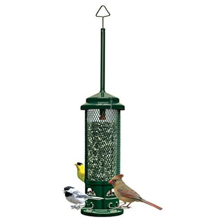 Squirrel Buster Legacy Squirrel-proof Bird Feeder w/4 Metal Perches, 2.6-pound Seed Capacity