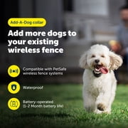 PetSafe Stay & Play Wireless Fence with Replaceable Battery Dog & Cat Collar, Waterproof
