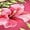 Multicolor, variant on Women's U Scoop Double Strap Athletic Tank Top, Hibiscus Floral Print Quick Dry Sun Protection Beach Workout Vest