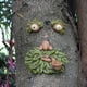 thumbnail image 4 of Xihbxyly Venta y Oferta Comedero para Pájaros, Árbol Luminoso, Colgante de Cara, Jardín Al Aire Libre, Patio, Manualidades, Cara de Árbol, Decoraciones Colgantes, 4 of 7