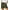 Armygreen, variant on Fantaslook Womens Casual Shorts Elastic Waist Drawstring Shorts Pants with Pockets Summer Beach Floral Shorts