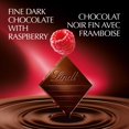 thumbnail image 2 of Lindt EXCELLENCE Raspberry Dark Chocolate Bar, 100g, 2 of 14
